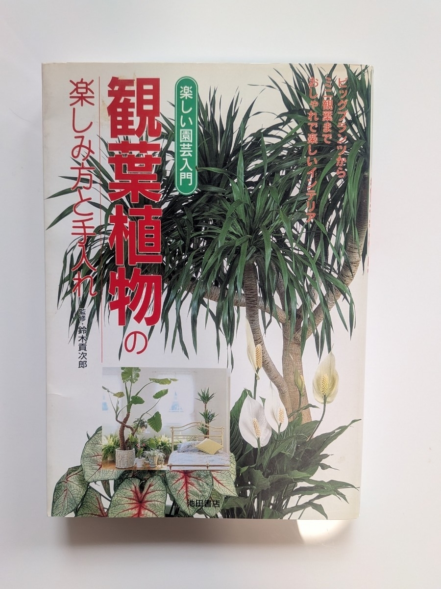 観葉植物の楽しみ方と手入れ (楽しい園芸入門) 鈴木 貢次郎 監拍卖