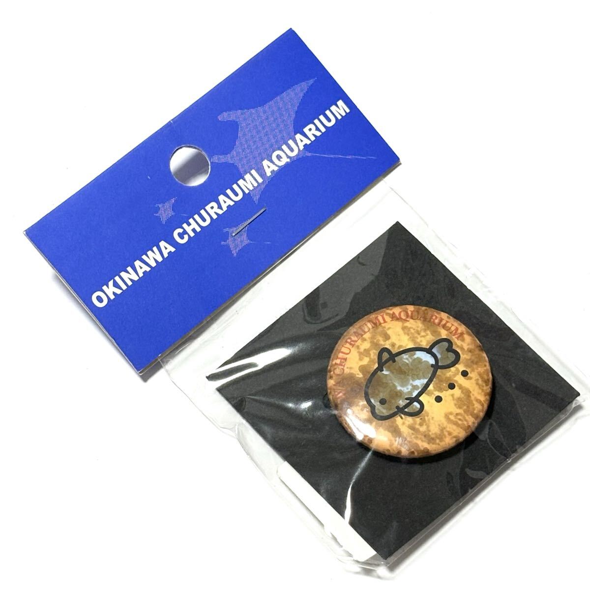 新品未開封 美ら海水族館 イルカ 缶バッジ オレンジ 土産 ご当地 沖縄 平成レトロ y2k 2000s 当時物 訳あり拍卖