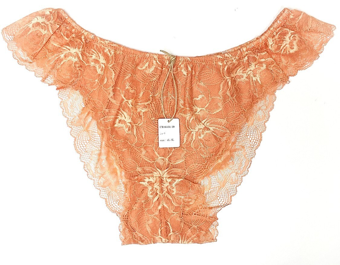 <再値下げ>CR16131-59 IS⑦【特価】新品 大きい ショーツセット 4L-5L 2枚 ライトグレー スタンダード ストレッチ 華やか レディース拍卖
