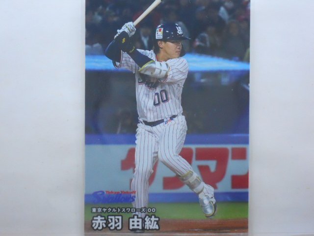 カルビー プロ野球カード 2025第2弾 赤羽 由紘(ヤクルト)拍卖