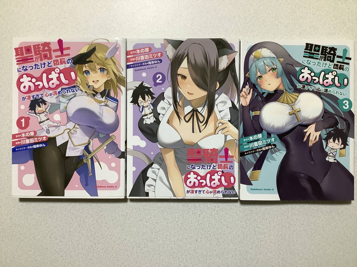 【極美品】聖騎士になったけど団長のおっぱいが凄すぎて心が清められない 1〜3巻 セット まとめ 異世界 転生 転移 ファンタジー ちょいエロ拍卖