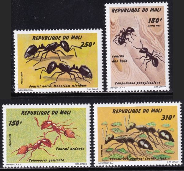 tin0922 マリ 1998 昆虫 #1010-3拍卖