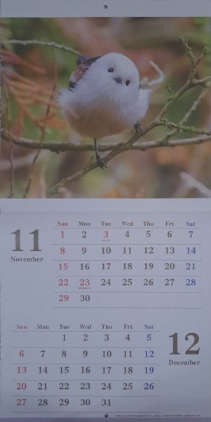 【すぐに発送:大きな カレンダー:可愛い「小鳥・鳥」:B3:60x30㎝:2026年】★癒される:シマエナガ,インコ ,ハシビロコウ★野鳥:壁掛け: 暦拍卖