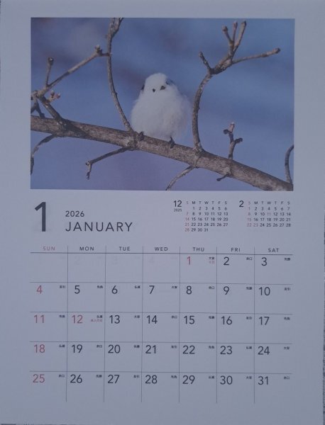 【すぐに発送:「もふもふ 動物」:カレンダー:A4:30x21cm】★2026年 アニマル,小鳥:シマエナガ,うさぎ,リス,アルパカ,モモンガ★壁掛け:暦拍卖