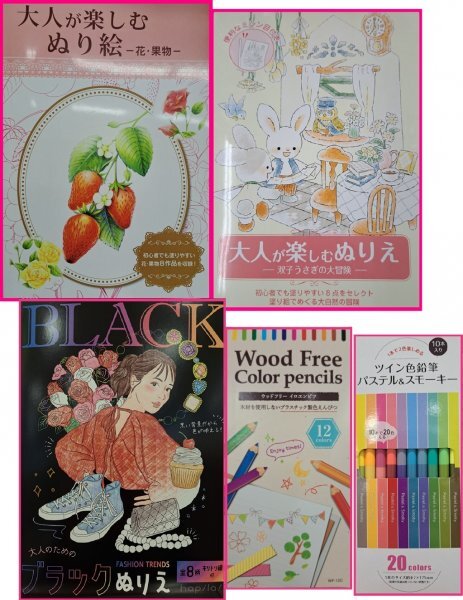【送料無料 選べる 2点 大人のぬりえ,色鉛筆】★果物 うさぎ ブラック★初心者:心を安定:ストレス解消 認知症予防 脳トレ 塗り絵拍卖