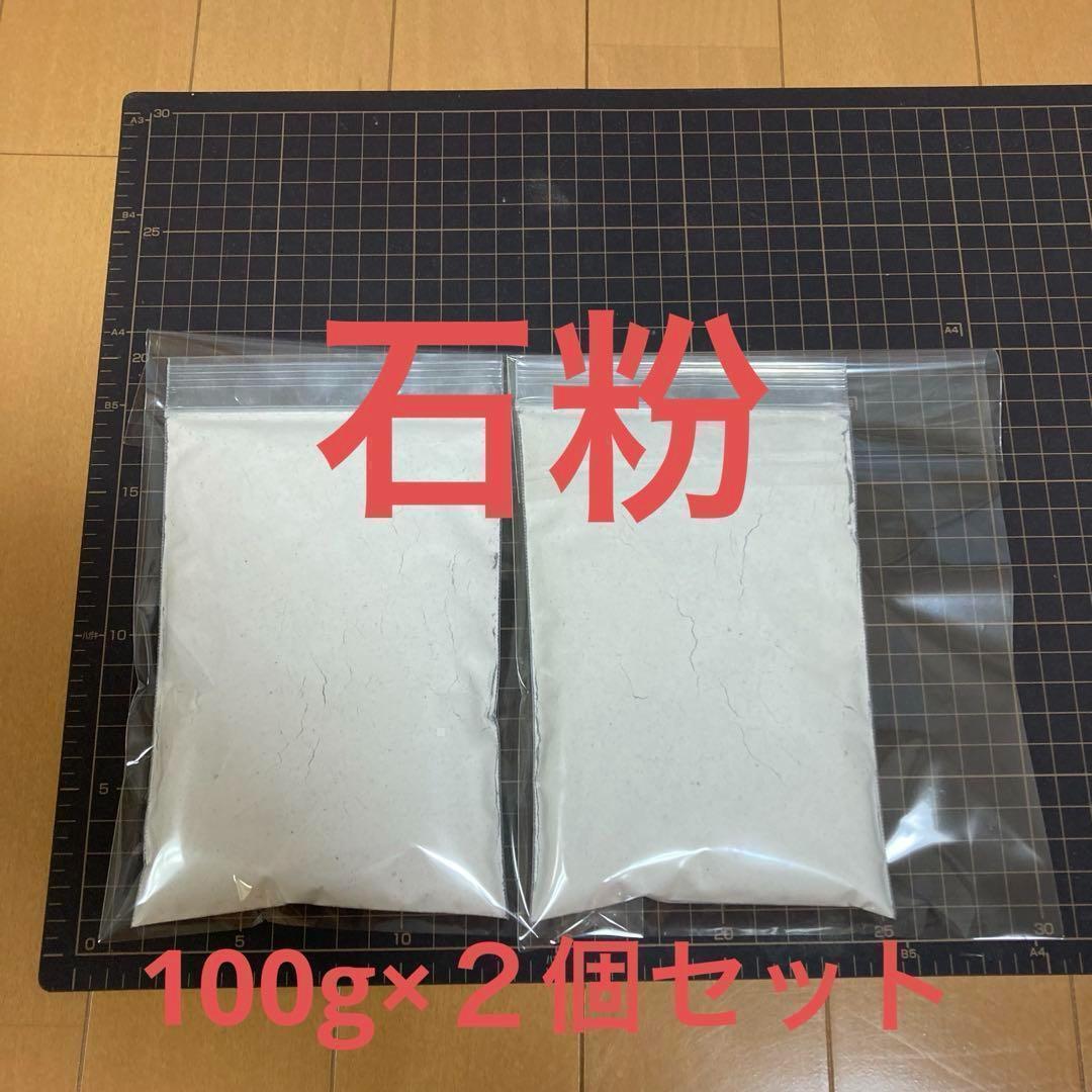 石粉(パーライト)100g2個 釣り餌が滑らない!拍卖