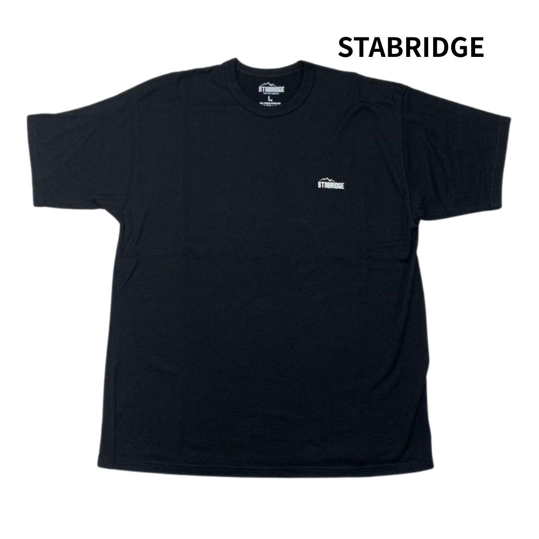 【美品】STABRIDGE スタブリッジ PREMIUM MERINO WOOL TEE プレミアム メリノウール 半袖 Tシャツ ブラック 黒 size:L/the Apartment購入拍卖