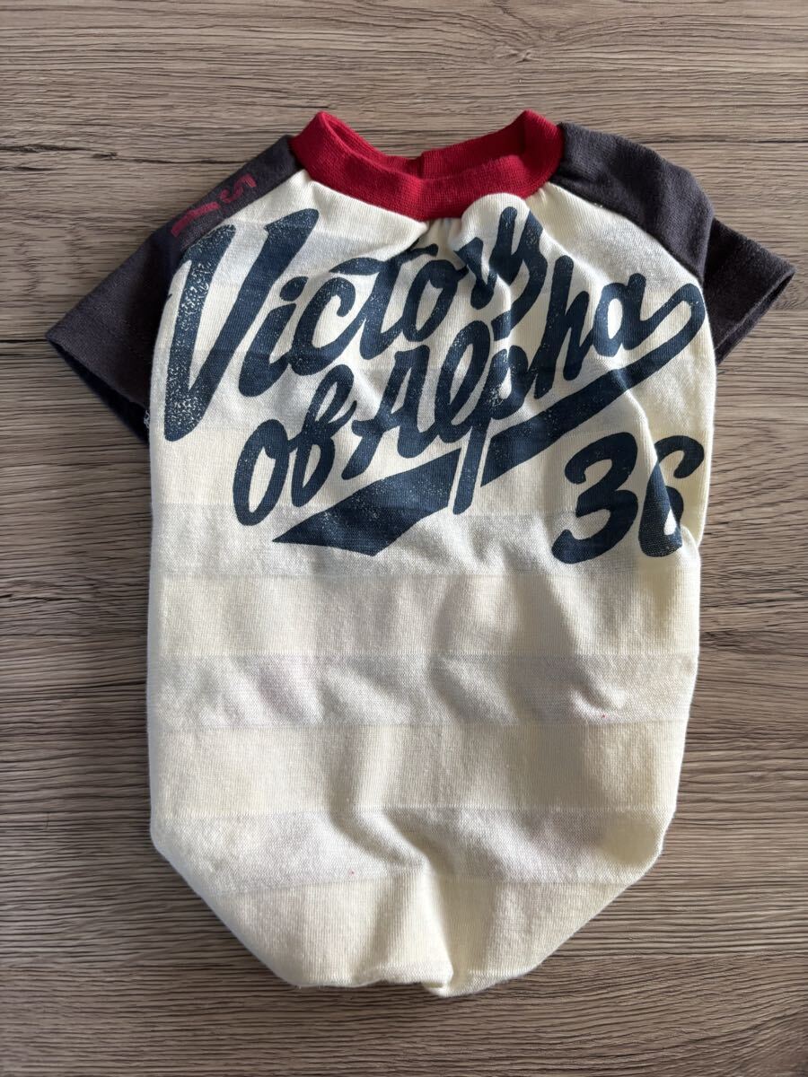 ★handmade★ダックスラグランTシャツ Ⅳ拍卖