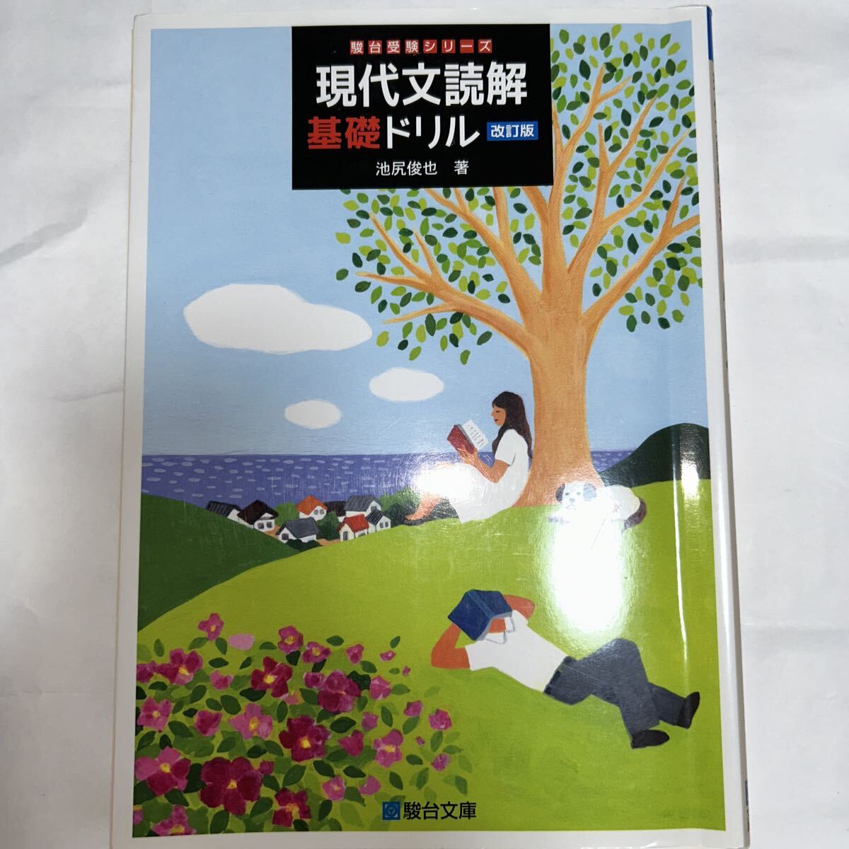 現代文読解基礎ドリル (駿台受験シリーズ) (改訂版) 池尻俊也/著拍卖