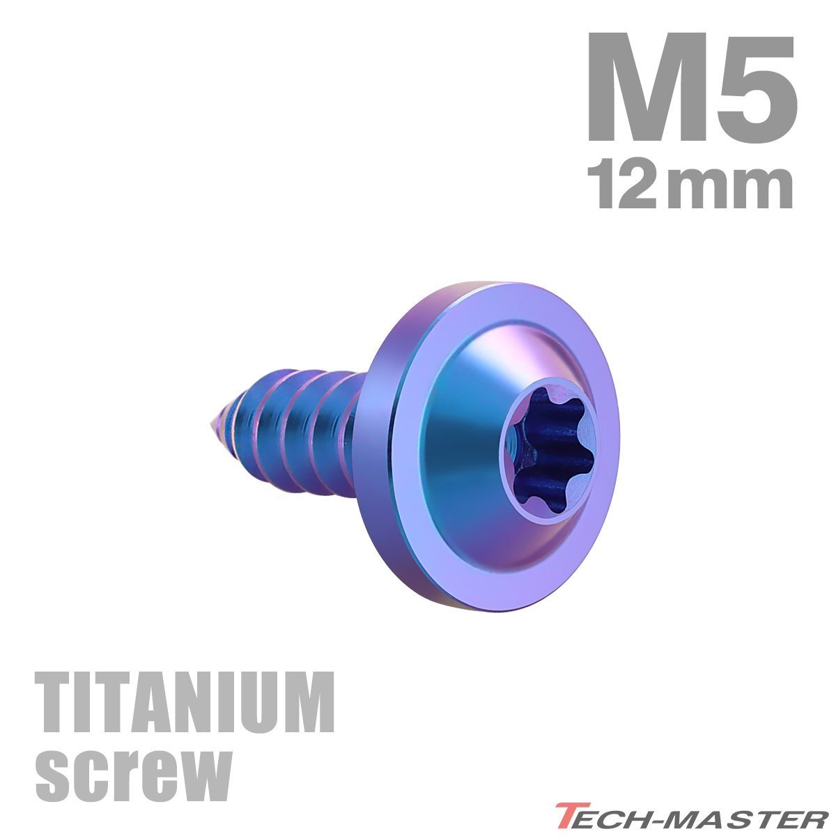 M5×12mm 64チタン合金 タッピングネジ トルクス穴付き パープルブルー 1個 JA1248拍卖