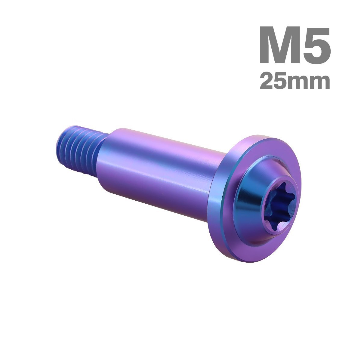 64チタン シグナス(1-3型) BW'S125(1型) CVTケースカバーボルト M5×25mm ヤマハ車用 パープルブルー JA1447拍卖