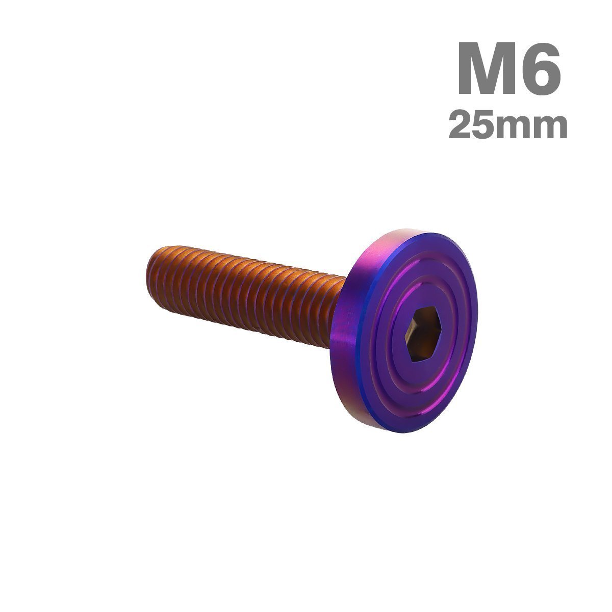 M6×25mm P1.0 ボタンボルト シェルヘッド フラット ステンレス マット 焼きチタンカラー カウル フェンダー バイク カスタム 1個 TR0867拍卖