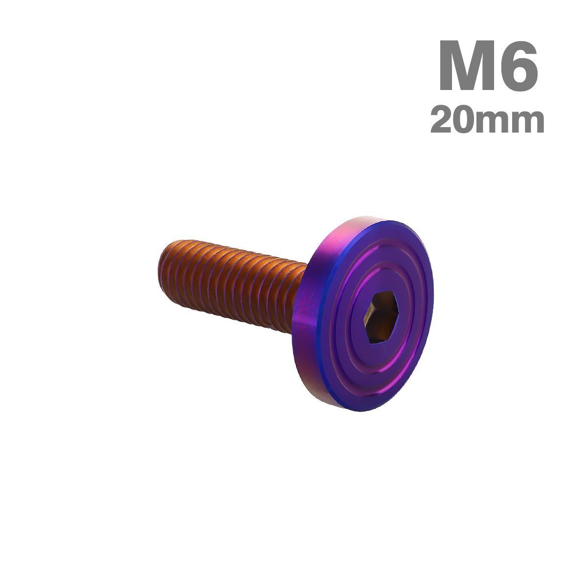 M6×20mm P1.0 ボタンボルト シェルヘッド フラット ステンレス マット 焼きチタンカラー カウル フェンダー バイク カスタム 1個 TR0866拍卖