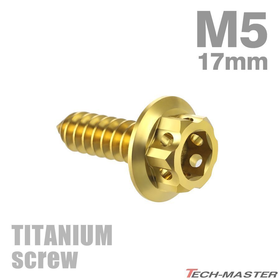 M5×17mm 64チタン合金 ヘキサゴンヘッド タッピングネジ 六角穴付き ゴールドカラー 1個 JA605拍卖