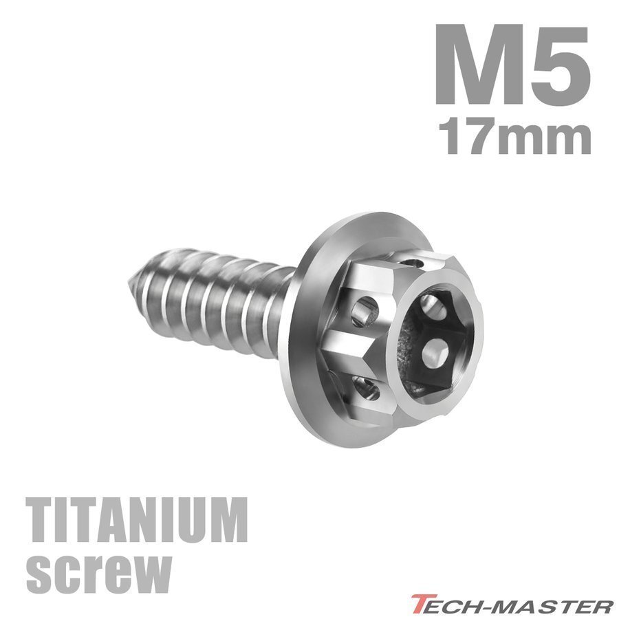 M5×17mm 64チタン合金 ヘキサゴンヘッド タッピングネジ 六角穴付き シルバーカラー 素地 1個 JA603拍卖