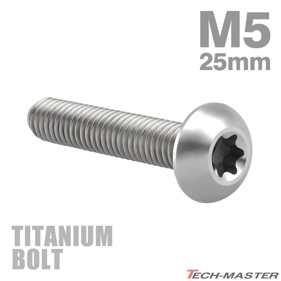 M5×25mm P1.0 64チタン合金 トラスヘッド トルクス穴付き ボタンボルト シルバーカラー 車/バイク/自転車 1個 JA936拍卖
