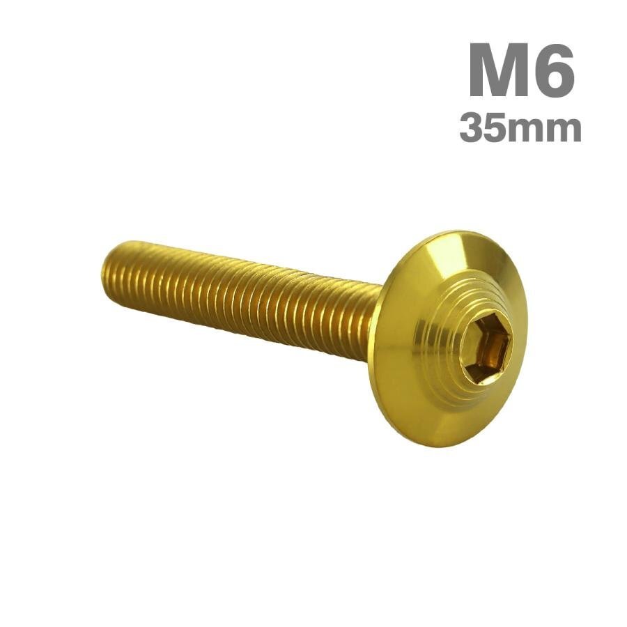 M6×35mm P1.0 ボタンボルト シェルヘッド フランジ付き ステンレス ゴールド カウル スクリーン フェンダー バイク カスタム 1個 TR0919拍卖