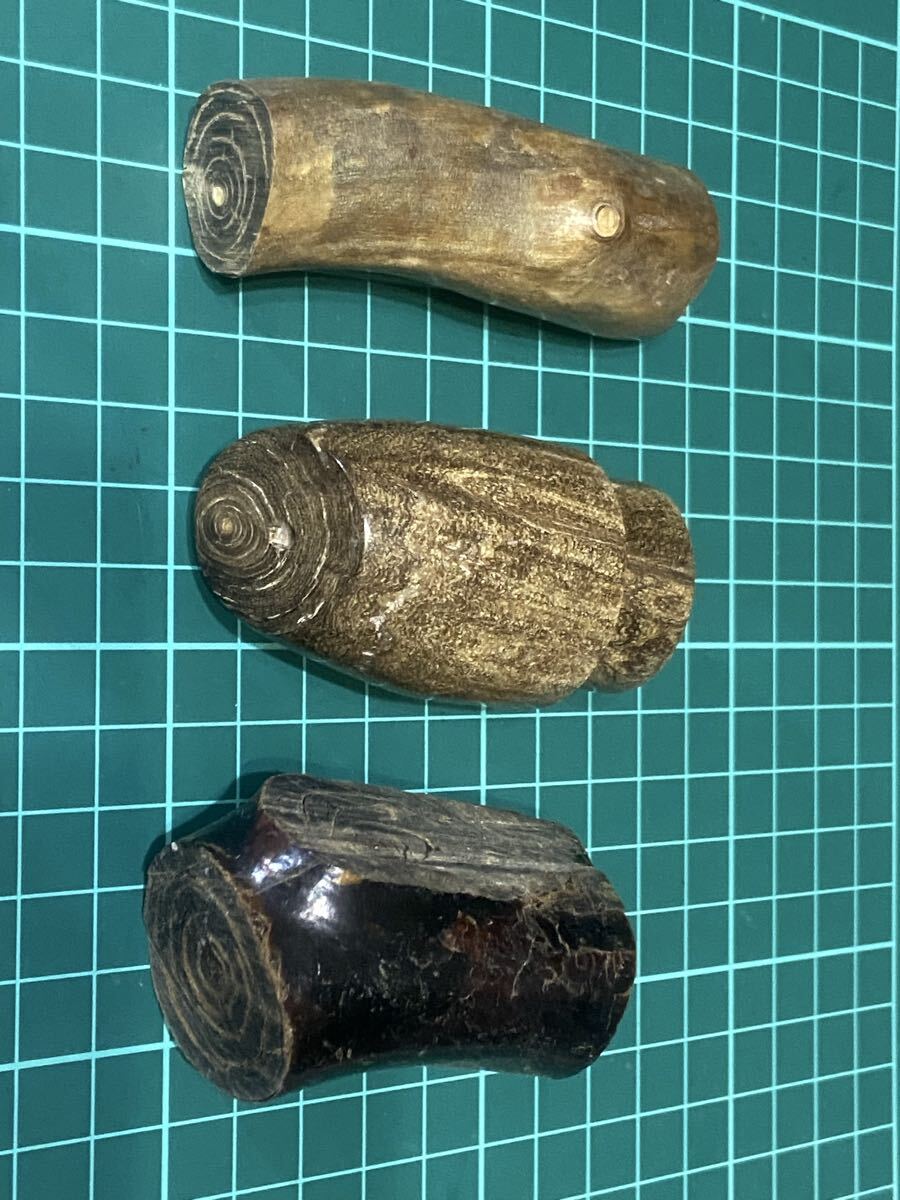 トローリング ケンケン魚 海松三個拍卖