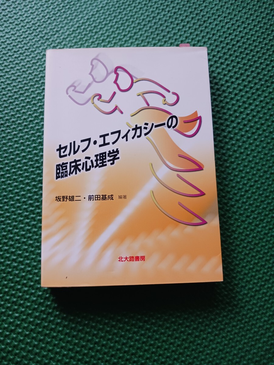 セルフ・エフィカシーの臨床心理学 坂野雄二・前田基成拍卖