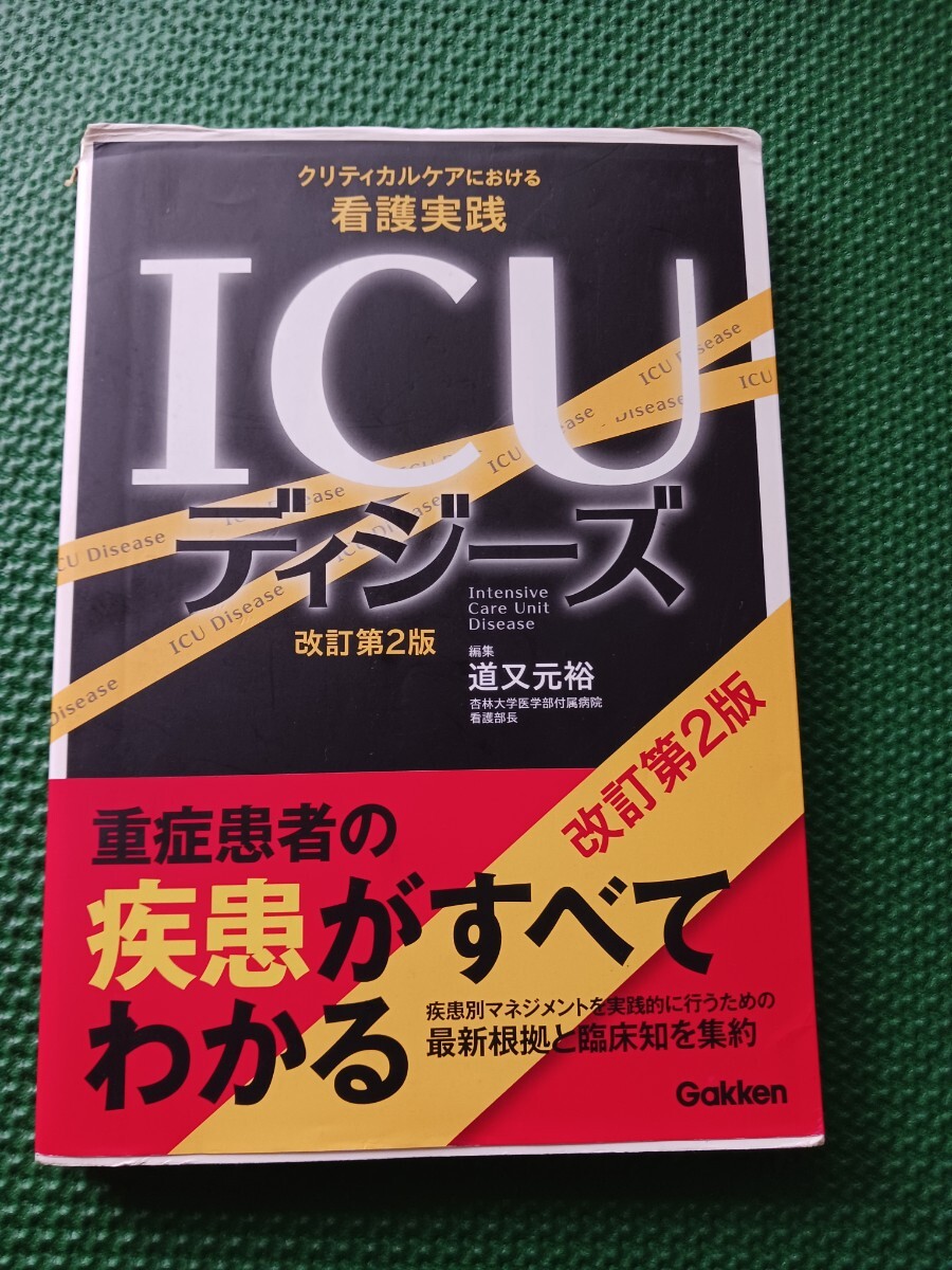 ICUディジーズ 改訂第2版 クリティカルケアにおける看護実践拍卖