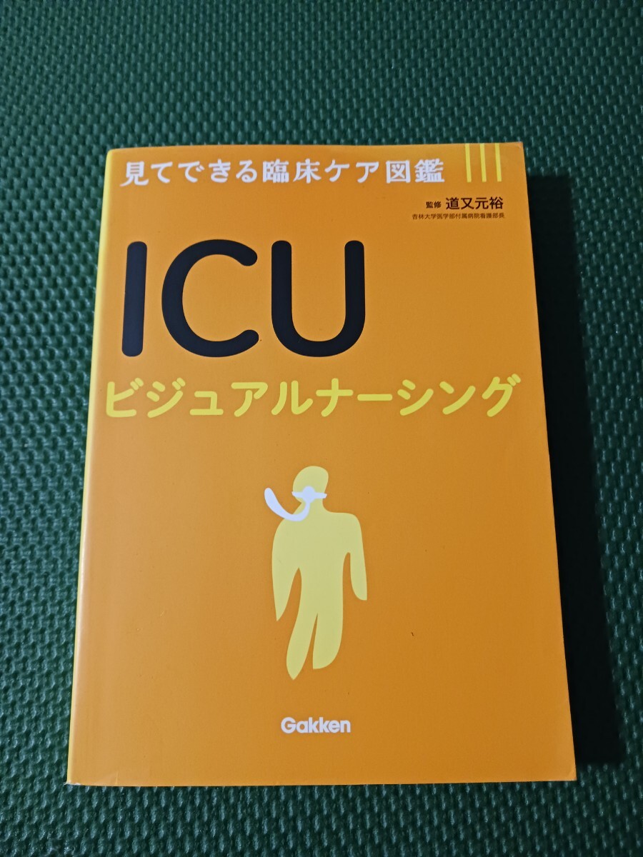 ICUビジュアルナーシング 見てできる臨床ケア図鑑拍卖