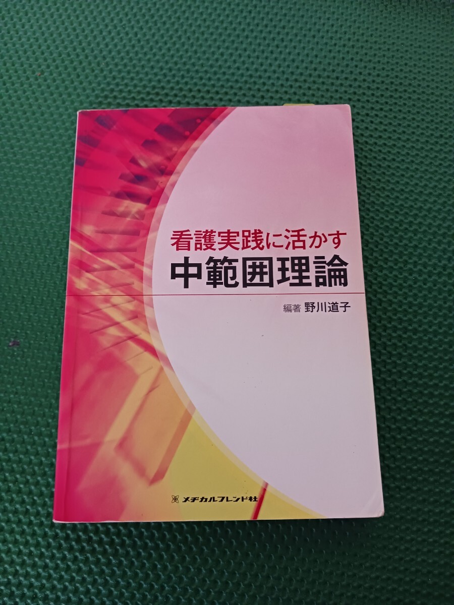 看護実践に活かす中範囲理論拍卖