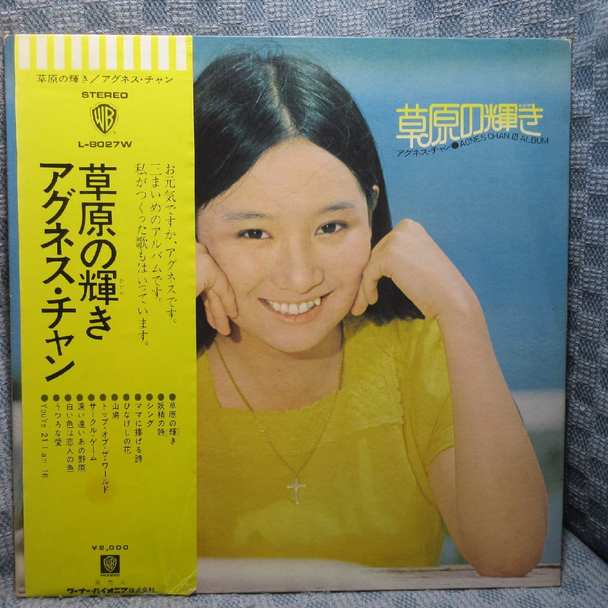 VA441●L-8027W アグネス・チャン「草原の輝き」LPレコード(アナログ盤)美品拍卖