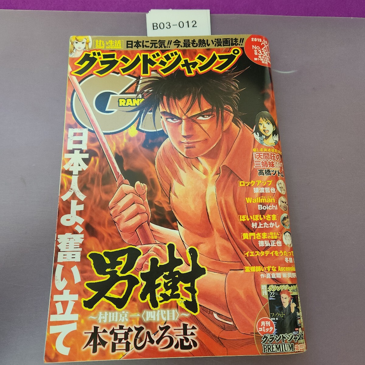 B03-012 グランドジャンプ 2013 10.2 男樹拍卖