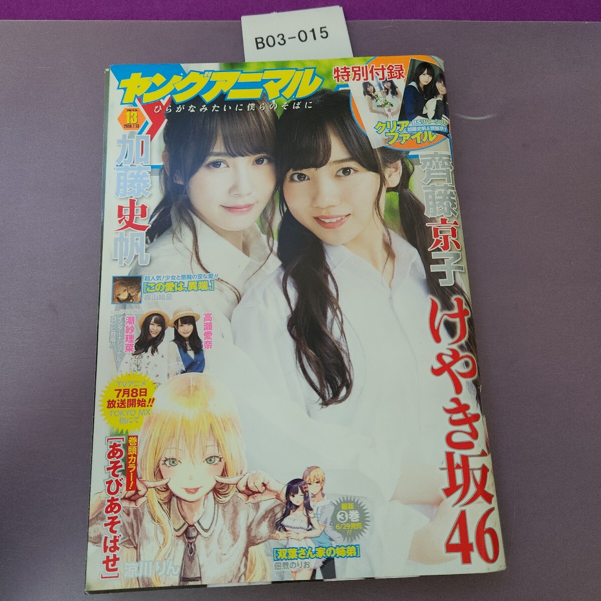 B03-015 ヤングアニマル 2018.7.13 付録欠品拍卖