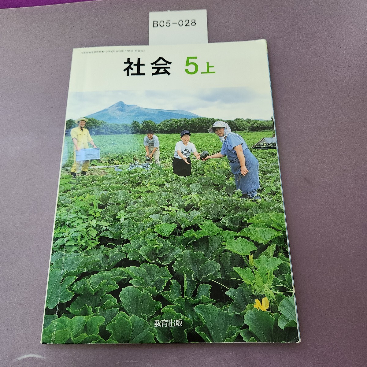 B05-028 社会5上 書き込み複数 記名塗り潰しあり拍卖