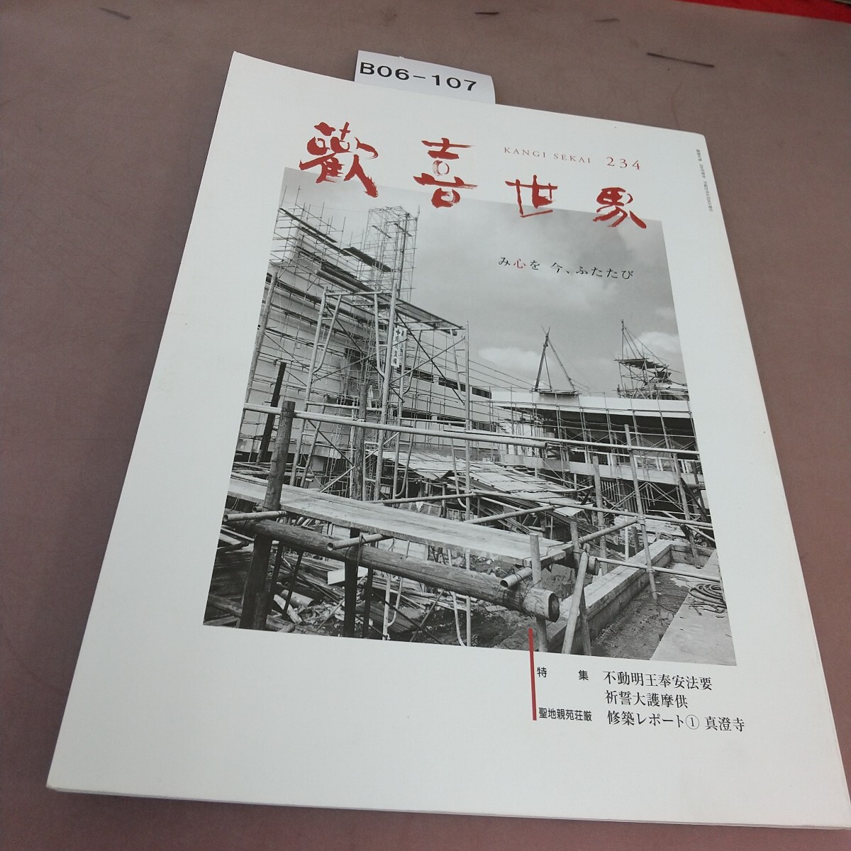 B06-107 歓喜世界 234 2011拍卖