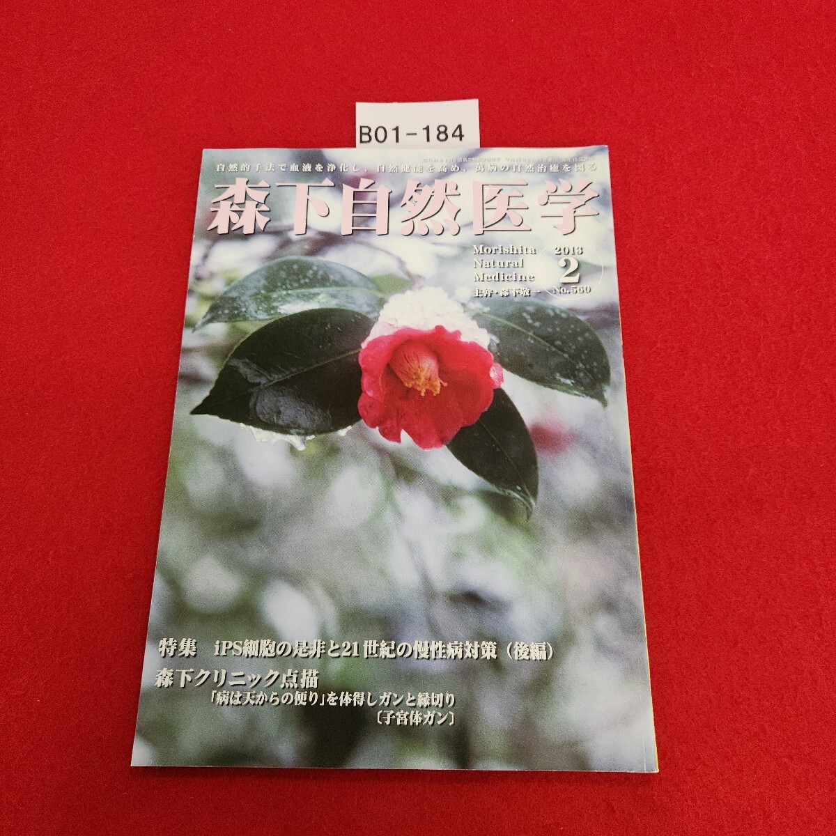 B01-184 森下自然医学 560 平成25年2月号 特集 iPS細胞の是非と21世紀の慢性病対策 (後編) 国際自然医学会拍卖