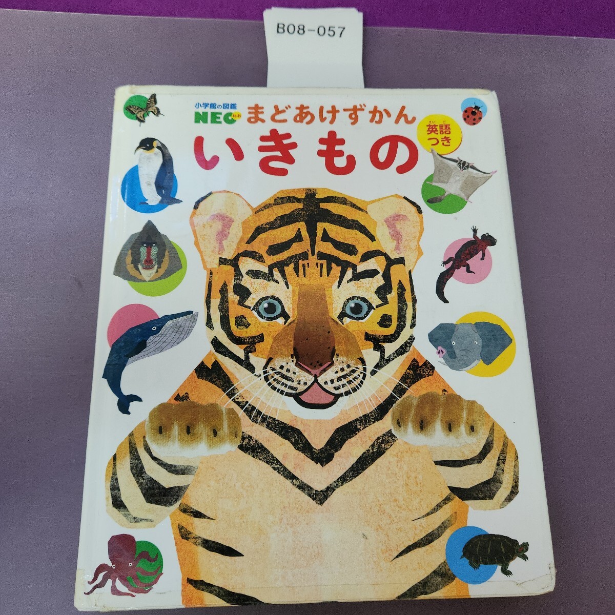 B08-057 小学校の図鑑NEC まどあけずかんいきもの 英語つき テープ付着あり拍卖
