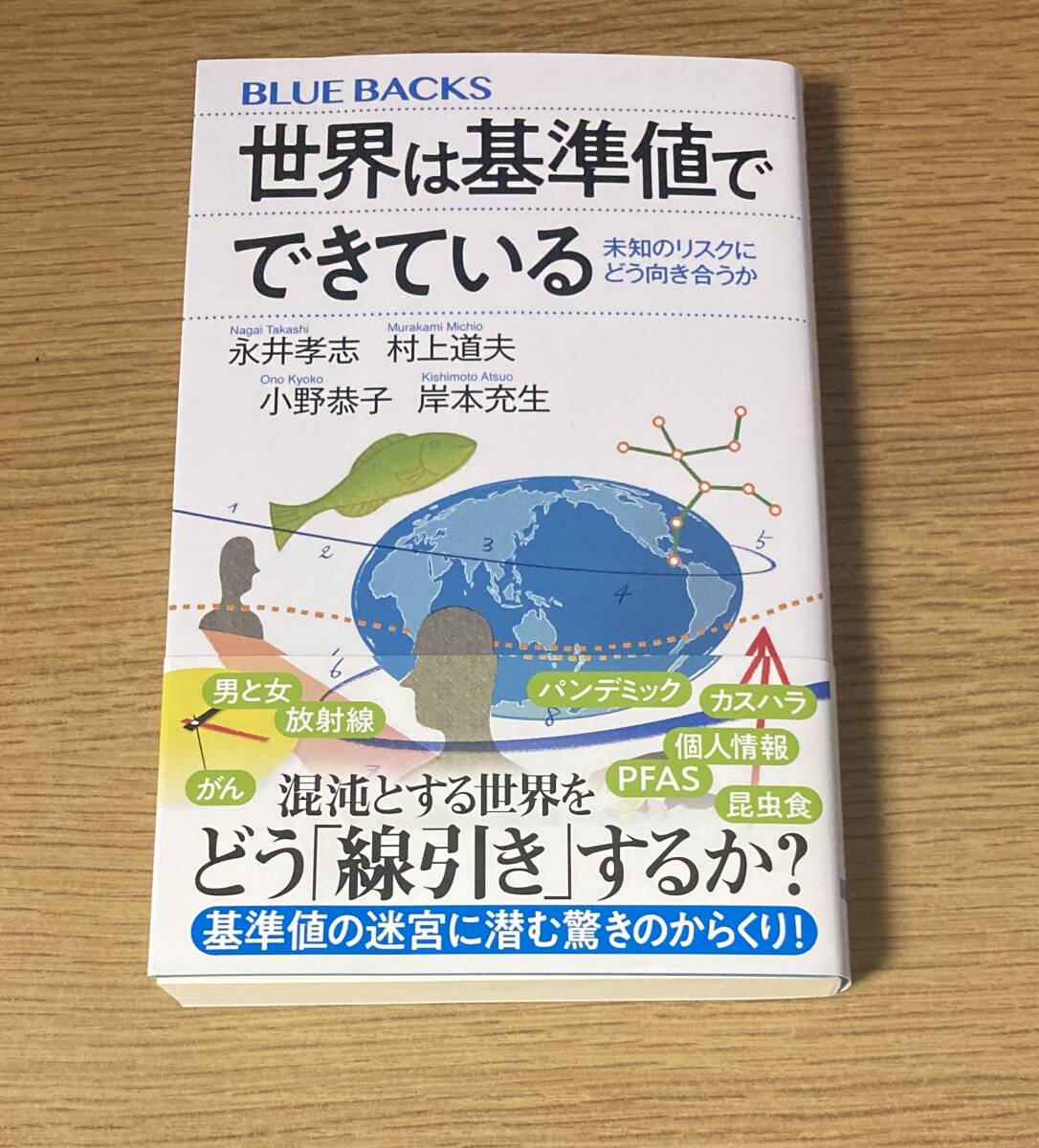 ★☆世界は基準値でできている 永井孝志 村上道夫 小野恭子 岸本充生 ブルーバックス☆★拍卖