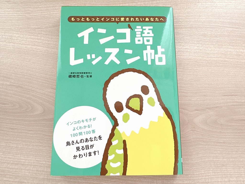 ■インコ語レッスン帖: もっともっとインコに愛されたいあなたへ■単行本■磯崎 哲也 (監修) さかじりかずみ (イラスト)拍卖