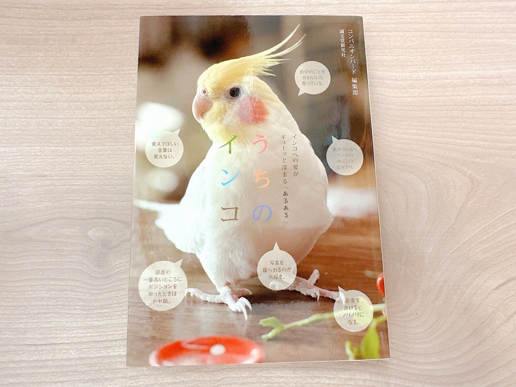 ■うちのインコ インコあるあるフォトエッセイ■単行本■コンパニオンバード編集部 (編集)拍卖