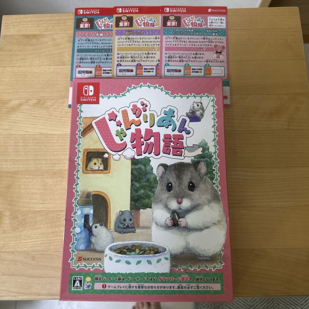 ニンテンドー Switch じゃんがりあん物語(ダウンロードコード封入版)拍卖