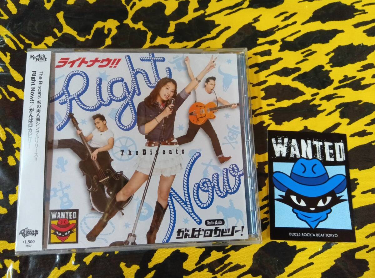 7作目【CD】ザビスキャッツ「ライトナウ!がんばロカビリー」検索青野美紗稀ケンジスケミサキCREAMSODAピンクドラゴンブラックキャッツ拍卖