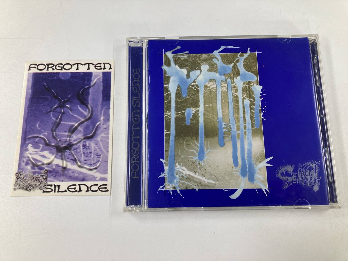 21748 Forgotten Silence - Senyaan 輸入盤 CD拍卖