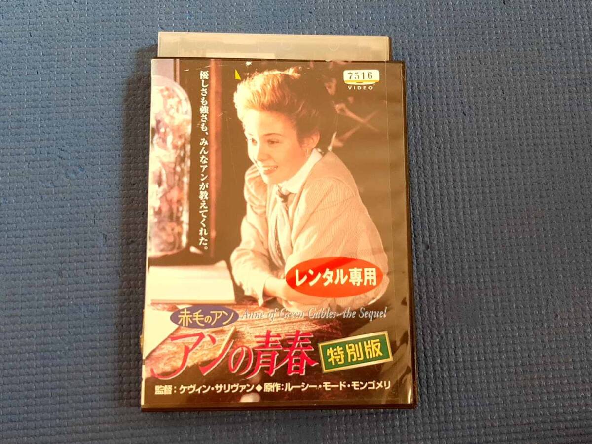 DVD 2枚組 赤毛のアン アンの青春 特別版 ルーシー・モード・モンゴメリ ミーガン・フォローズ ケヴィン・サリヴァン拍卖