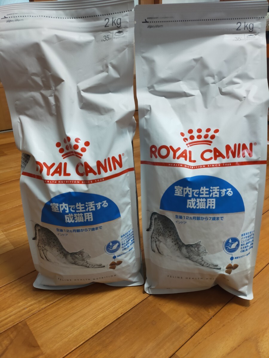 ロイヤルカナン インドア 猫用 2キロ×2個拍卖