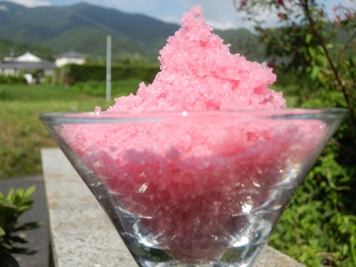 梅塩*鹿児島産*送料無料拍卖