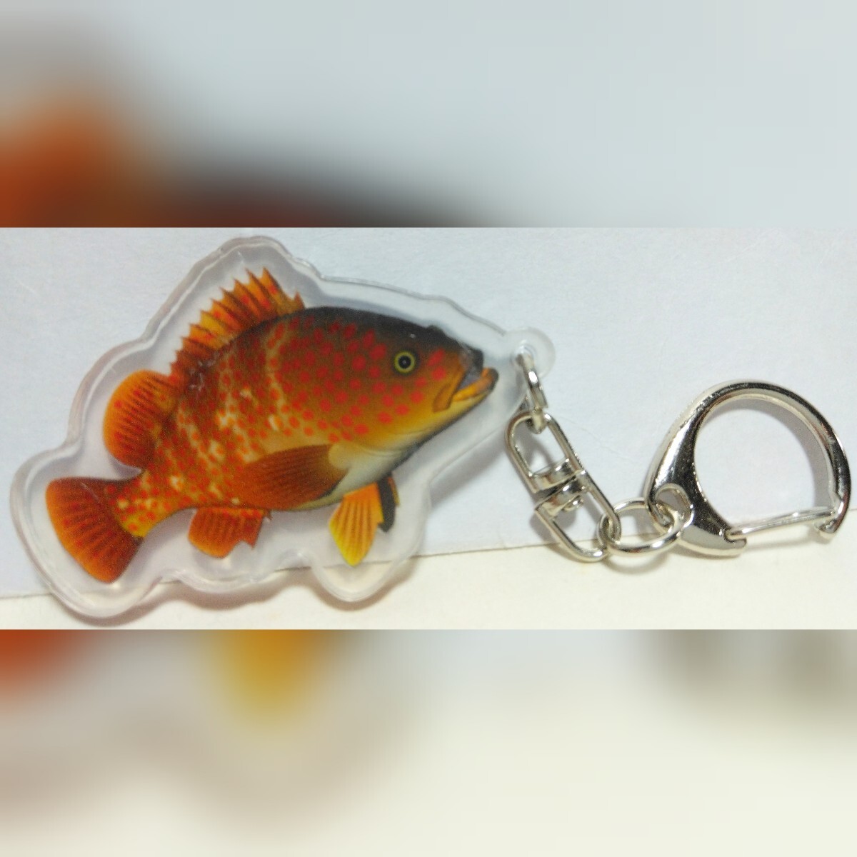 新品◆◆キジハタ アコウ プラスチック製 プラ板 キーホルダー ストラップ◆◆船釣り 根魚 ロックフィッシュ スロージギング インチク 高級拍卖