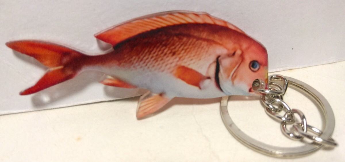 新品◆◆◆マダイ・真鯛 プラスチック・プラ板 キーホルダー・ストラップ◆◆海釣り 魚釣り フィッシング 磯釣り 船釣り 寿司ネタ 魚好き拍卖