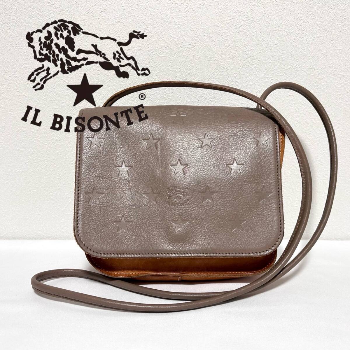 IL BISONTE イルビゾンテ 小型 ショルダーバッグ グレー 星柄拍卖