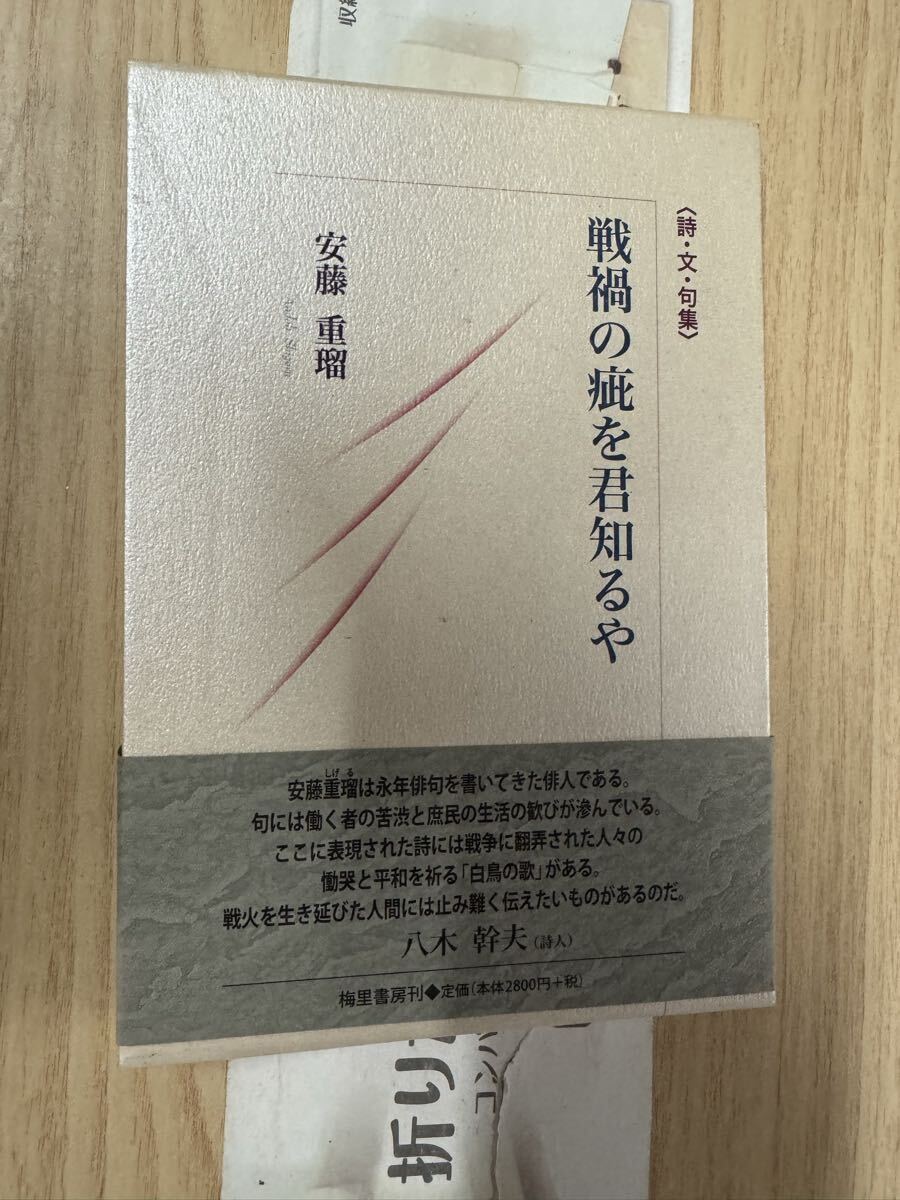 送料無料 安藤重瑠 戦禍の疵を君知るや拍卖