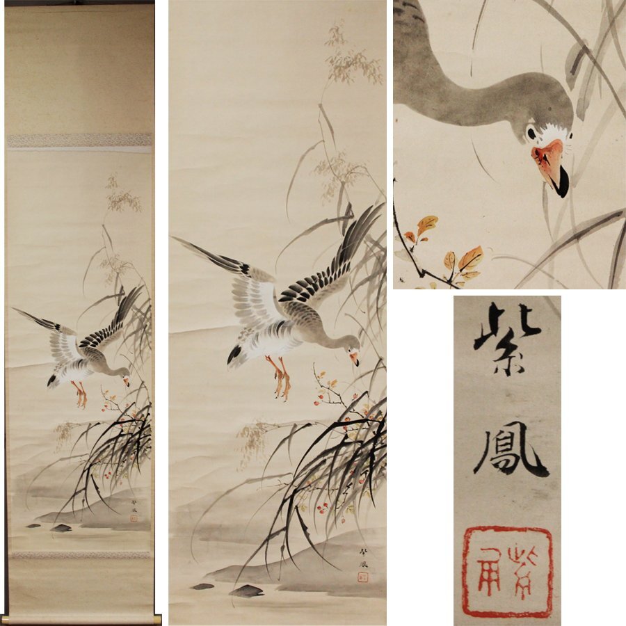 《源》【即決・送料無料】掛け軸 紫鳳 筆「葦雁図」/箱付拍卖