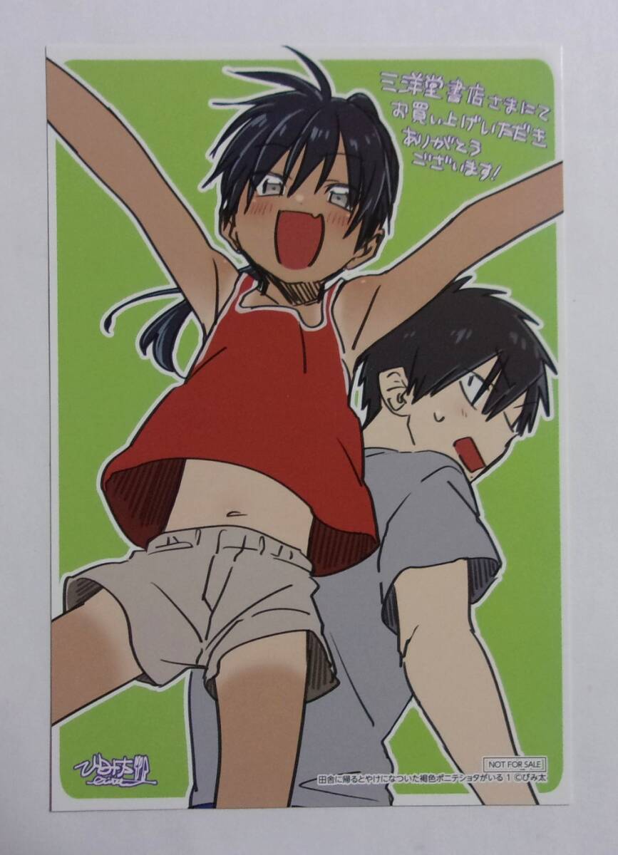 【イラストカード】【三洋堂書店購入特典】 田舎に帰るとやけになついた褐色ポニテショタがいる! 1巻特典 びみ太/KADOKAWA 非売品拍卖
