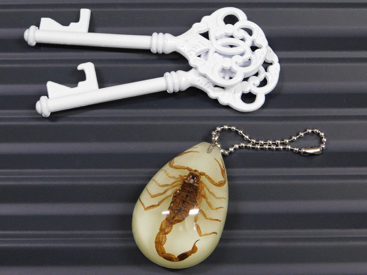 ◆送料\140◆【SCORPION・スコーピオン】※《蓄光キーホルダー/グロータイプ》 本物のサソリ入り DROP KEYCHAIN拍卖