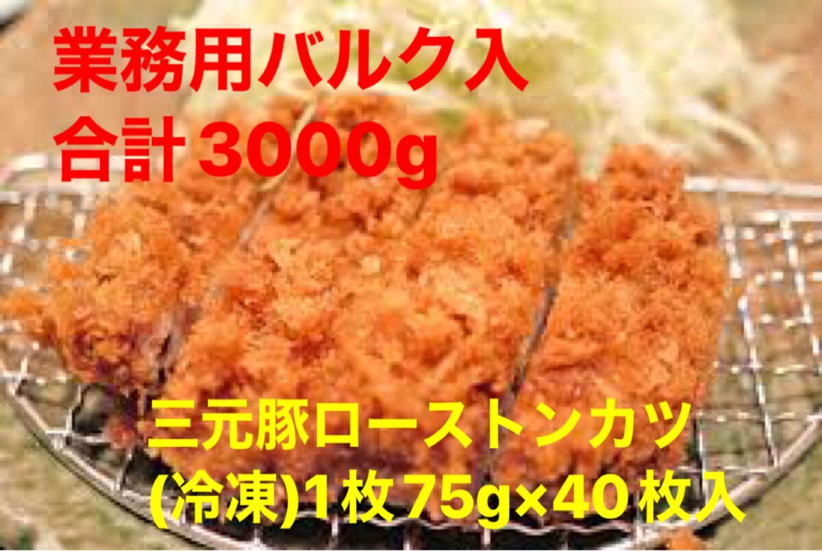 送料無料 冷凍 三元豚ローストンカツ 1枚75g×40枚 合計3000g 大手メーカー品 安い お買い得 美味しい拍卖